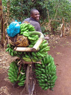 Ugandan Farmer